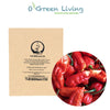 Fruits- VFR125 Hot Pepper "Bhut Jolokia" (10 Seeds)