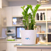 Self-Watering Plant Pots / Garden Pots - Cloud design