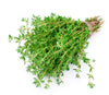 Seeds Master Singapore - PR49 Thyme (140-150 Seeds) Herbs