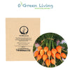 Veggies- VR8 Carrot "Romeo" (1600 - 2000 Seeds)