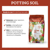 OGL Organic Potting Soil - Garden Soil Singapore