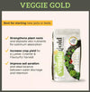 OGL Veggie Gold - Garden Soil Singapore