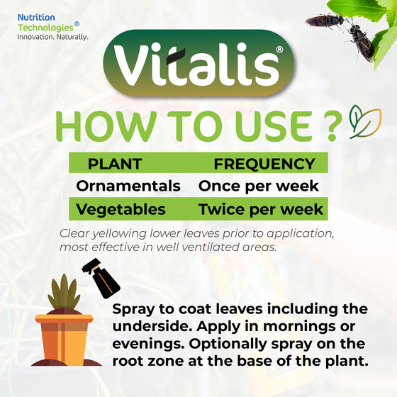 Vitalis 500ML