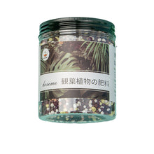  K04 - Ornamental Leaves Fertilizer (NPK: 10:6:6)