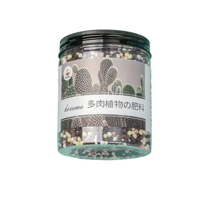 zebra plant fertilizer K03