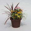 A300 Round Pot, Plant Pots & Garden Pots