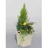 A340 Square Pot [Ivory] - Garden Pots & Plant Pots Singapore