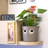 Self-Watering Plant Pots / Garden Pots - Dog design