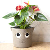 Self-Watering Plant Pots / Garden Pots - Dog design