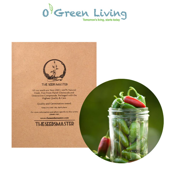 Seeds Master Singapore - VFR57 Hot Pepper 'Jalapeno M' (12-16 Seeds) Fruits Seeds