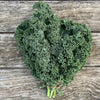 Veggies- S29 Kale 'Siberian Dwarf' (300 - 400 Seeds)