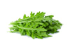 Seeds Master Singapore - S24 Arugula (350-400 Seeds) Veggie Seeds