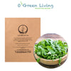 Seeds Master Singapore - S24 Arugula (350-400 Seeds) Veggie Seeds