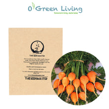  Veggies- VR8 Carrot "Romeo" (1600 - 2000 Seeds)